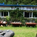 솔향기길 나오리공방 이미지