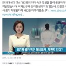 쁘띠 애견 이미지