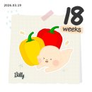 꼬망세피자 | 임신 18주차 일상 / 방구냄새 어깨통증 아랫배통증 몸무게 변화
