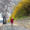 삼척IC 이미지