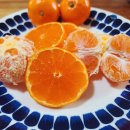 안당농장 이미지