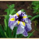 한백농장 이미지