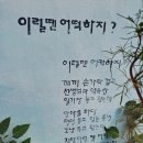 남원 부절리 소나무숲 이미지