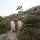 매화랜드 이미지