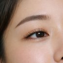 디에이치아이 | 눈썹 진한 사람의 현실 관리법｜눈썹왁싱·속눈썹펌 솔직 후기 (삼성역 우아브로우)