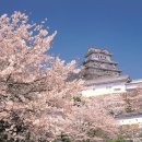 연천군장애인자립생활센터 이미지