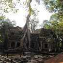 비밀의 사원 이미지
