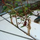 강선목장 이미지