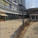 서울애견미용실 | [서울 강동구 ] 상주견 비숑 건♡ 힐링 애견동반 가능한 " 미유 천호점 미용실 " 지영 실장 클리닉 후기