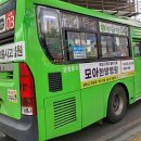 금창 이미지