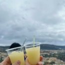 남부코스 | 로마여행 필수코스 이탈리아 남부투어 폼페이 포지타노 솔직 후기