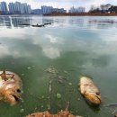 스타벅스천안업성레이크점 이미지