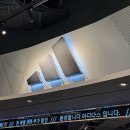 용인아디다스 | 기흥 롯데아울렛 나이키 추가 25% 할인 아디다스 타임세일 득템 후기