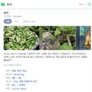 오이프롬닷