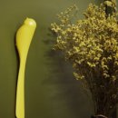 지혜로운생활연구소 이미지