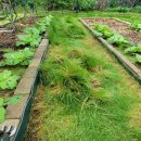 소나무가든민박 이미지