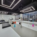 뿌리깊은나무태권도장 이미지