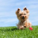 민락동물병원 이미지