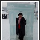 청양 칠갑산 천장리 알프스마을 얼음축제 얼음조각감상 사진크기 700 이미지