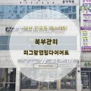 서면 다이어트 복부 관리 끝판왕, 피그맘랩핑다이어트 후기 (서면 비만관리 추천)