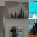 양평아프리키문화예술박물관 | [경기 양평 카페] 예술과 자연이 빚어낸 쉼표, 갤러리 카페 '피스타치 바이 카포레' 방문기