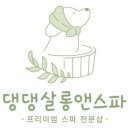 댕댕살롱앤스파 이미지