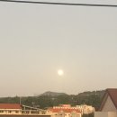 해인달