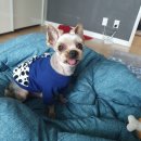 아라펫살롱 이미지