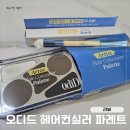 지지팔레트 | 헤어라인쉐도우 오디드 아티스트 헤어컨실러 팔레트 솔직후기