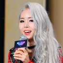 그레이스 이미지