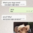 제리스토리 이미지