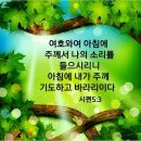 낮에는 폭염 밤엔 열대야 속에서 건강은 꼭 챙기시길요 ( 인사말 이미지 ) 이미지