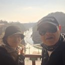 카페 미래 Daum카페