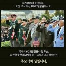 11월 11일, 턴 투워드부산(Turn Toward Busan) 이미지