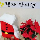 탱자한의원 이미지