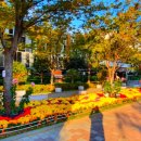 명품가로공원 이미지