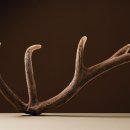 이천바른몸한의원 이미지