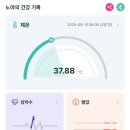 테디펫닥터동물병원 | [체험단후기] 반려동물 생체신호 측정 디바이스 펫스캐너 닥터아몬드 P3