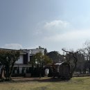 6806 | 제주 -길갈팜랜드 동쪽 아기랑 가볼만한곳 동물체험목장 내돈내산 후기