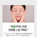 주사 맞은 듯한 피부 쫀쫀함?! 브이티코스메틱 리들샷 100 솔직 후기
