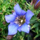 용담농장 이미지