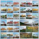 대천칼국수 이미지