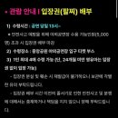 중앙공원 | 성남 페스티벌 2025미디어 아트 시네 포레스트 동화 중앙공원 후기