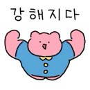 헤리티지서치코어 | 취미발레 토슈즈 적응기 - 토슈즈는 기세다. 중요한건 꺾이지 않는 마음과 두둑한 지갑
