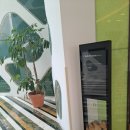 코나세르스파 이미지