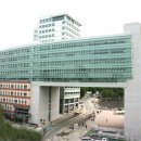 홍익대학교 이미지