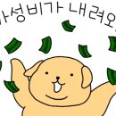 나비호스텔 이미지