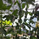 진천농장 이미지