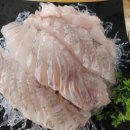 회뜨는 달인 이미지