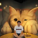 메이즈 뮤지움 이미지